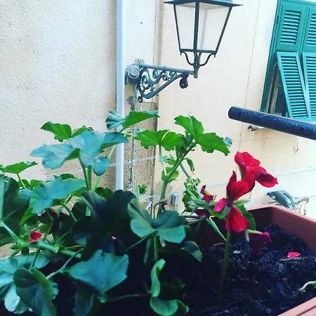 Il Vecchio Molo Apartment Alghero
